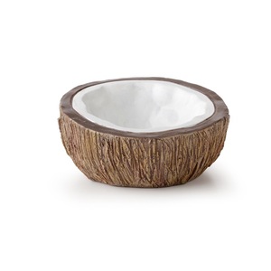 엑소테라 티키 코코넛 물그릇