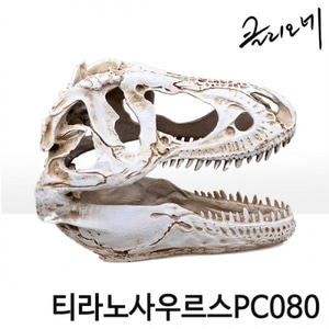 티라노사우루스 스컬 / T-rex / 티라노사우르스/ 공룡 / 화석 / 장식 / 파충류용품