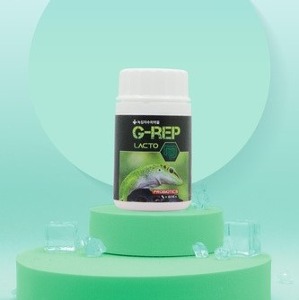 녹십자수의약품 G-REP 지렙락토 파충류 유산균 60캡슐