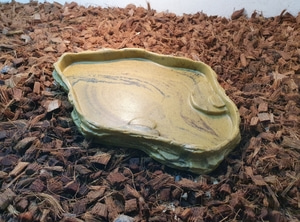 담아바 NHC 오아시스 XL 파충류 물그릇 밥그릇 (높이가 낮고 넓습니다) NR-W2